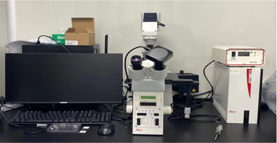 倒置偏光DIC三色荧光显微镜